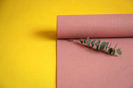 A rolled pink yoga mat with a sprig of eucalyptus rests on a vibrant yellow surface, creating a...