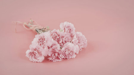A bunch of pink flowers with green stem on a pink background