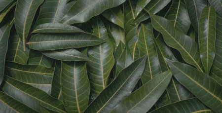 This image presents a detailed view of numerous green leaves, showcasing their vibrant color and...