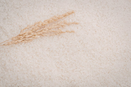 A close-up image of a single wheat stalk on a sandy background, highlighting the texture and color of the wheat and sand.の写真素材