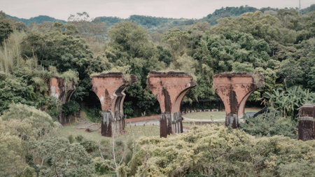 An old, abandoned bridge stands amidst a dense, vibrant green forest, with its pillars rising...