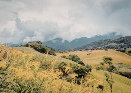a scenic view of rolling hills with yellow flowers in the foreground and mountains in the background...