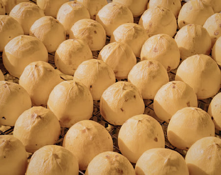 A large number of fresh oranges are displayed in a close-up view, showcasing their vibrant orange...
