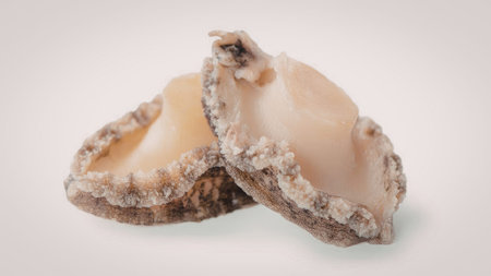 Two oyster shells are open, revealing their creamy interiors, against a clean white backdrop.