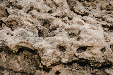 A close-up view of a rocky surface featuring numerous holes and a rough texture.