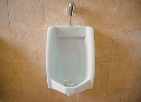 A white urinal mounted on a brown tiled wall with a silver flushing mechanism