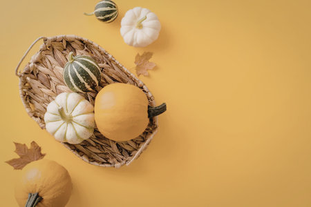 A wicker basket filled with various small pumpkins and gourds on a vibrant yellow background, surrounded by fallen leaves.の写真素材