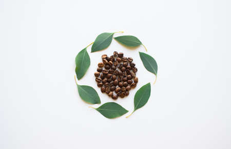 Coffee beans with eucalyptus leaves as a circle on a white surface.の写真素材