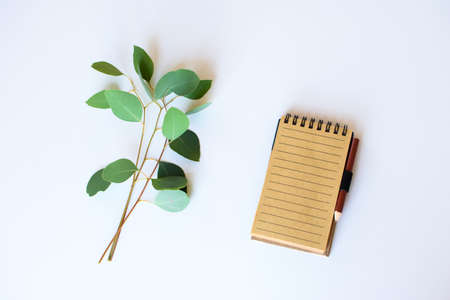 Notepad on a white surface with sprigs of eucalyptus. Flatlay.の写真素材