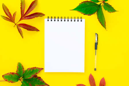 Open empty notebook with a pen on a yellow background with autumn leaves.の写真素材