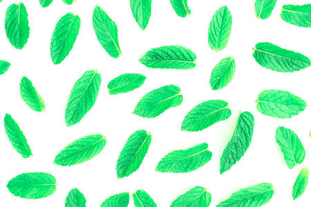 Pattern of fresh green mint leaves on a white background. Top view. Nature background.