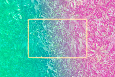 Surface creative tropic leaves in neon colors with neon yelllow frame. Natural background. Flat lay.