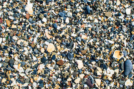 Surface of many small sea stones. Great for design and texture background. Summer concept. Close up.