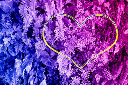 Surface creative tropic leaves in neon colors with neon heart frame. Natural background. Flat lay.の写真素材