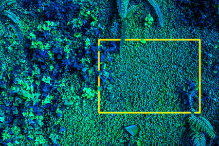 Surface creative tropic leaves with neon yelllow frame. Natural background. Flat lay.の写真素材