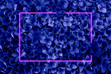 Creative fluorescent color layout made of fresh leaves with rectangular frame of neon light. Flat lay.の写真素材