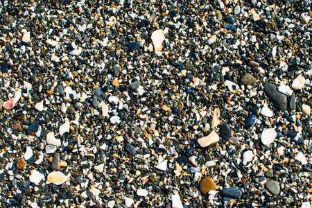 Surface of many small sea stones. Great for design and texture background. Summer concept. Close up.の写真素材