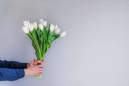 Man holding bouquet of beautiful spring white tulips. Flowers to gift. Place for text.の写真素材