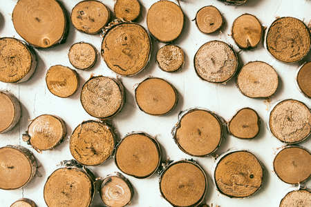 Cross section of tree trunks background. Wood texture, round wooden tree trunks. Decoration of...