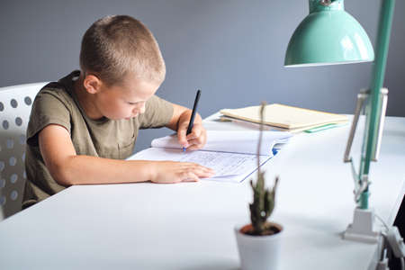 The schoolboy sitting at the table and doing schoolwork at home. Homeschooling concept.の写真素材