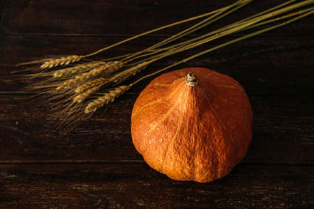 Pumpkin on the rustic wooden table. Dark home Halloween decor.の写真素材
