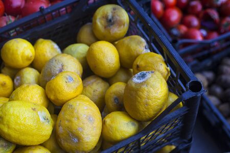 Rotten lemons at a market. Spoiled fruitsの写真素材