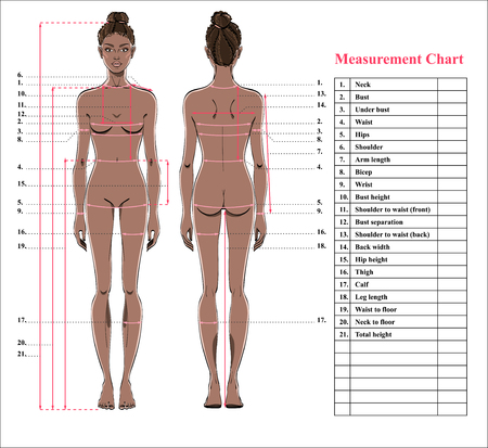 Woman body measurement chart. Scheme for measurement human body for sewing clothes. Female figure: front and back views. Young african american woman. Template for dieting, fitness. Vector.のイラスト素材