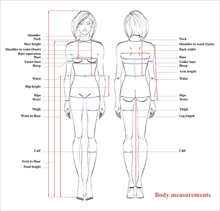 Woman body measurement chart. Scheme for measurement human body for sewing clothes. Female figure: front and back views. Vector.のイラスト素材