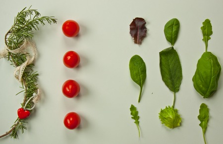 flat lay green leaves on white background with tomatoes and rosemaryの写真素材