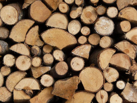 Wood