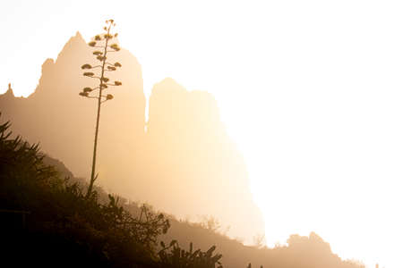 The sun at sunset shows the silhouettes of the mountains and the vegetation in Tenerife, Canary Islands.の写真素材