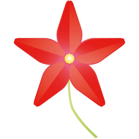 flower  illustration のイラスト素材