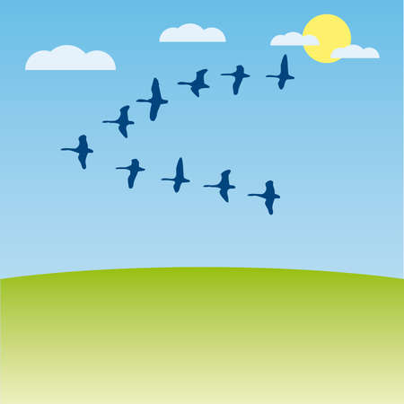 Birds migratory  illustration cartoonのイラスト素材