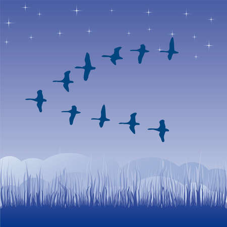 Birds migratory illustration cartoonのイラスト素材