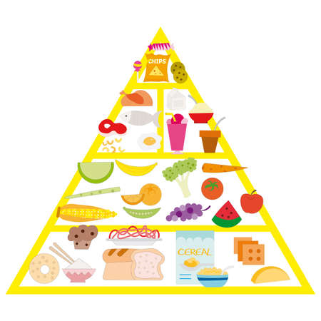 food pyramid illustartion on the white backgroundのイラスト素材