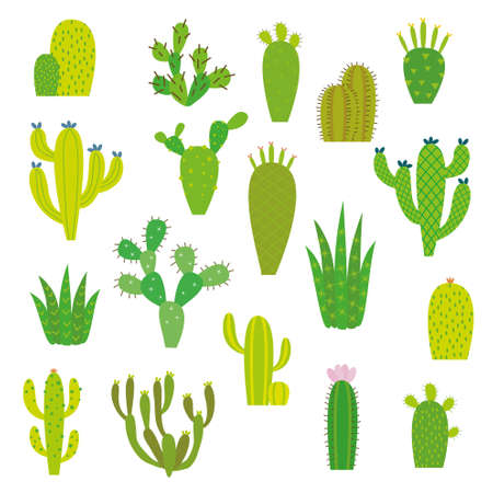 Cactus collection in vector illustrationのイラスト素材