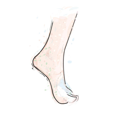 Woman foot watercolor illustrationの写真素材