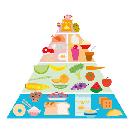 Food pyramid with flat drawingsのイラスト素材