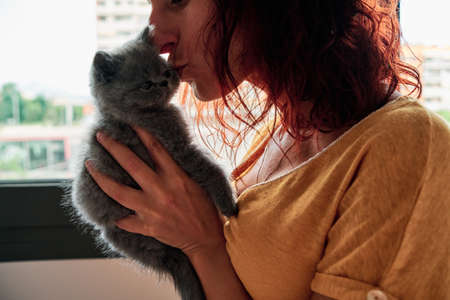 unrecognizable woman kisses a little grey cat - pet care concept