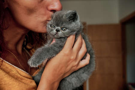 unrecognizable woman kisses a little grey cat - pet care conceptの写真素材