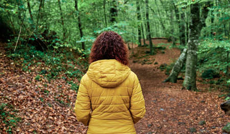 adult woman in a forest - autumn conceptの写真素材