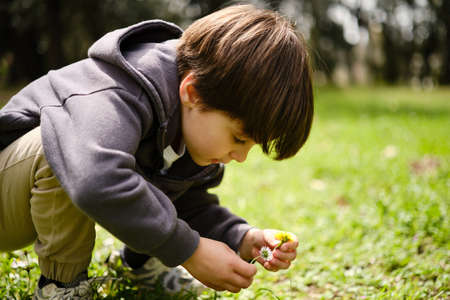 Child enjoying nature while picking flowers from the grass outdoors.の写真素材