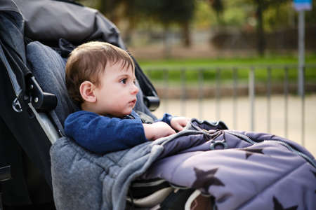 Little boy looking away while sitting in the stroller during a walk in the park.の写真素材