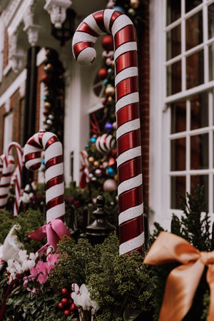 Large candy cane decorations celebrating christmas holiday seasonの写真素材