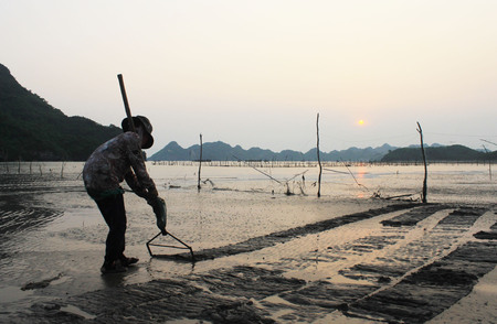 woman picking seafood in Halong bay, vietnamのeditorial素材