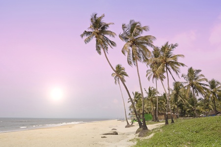 Paradise in the south of India in the morning.の写真素材