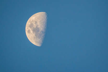 Daylight Moonの写真素材