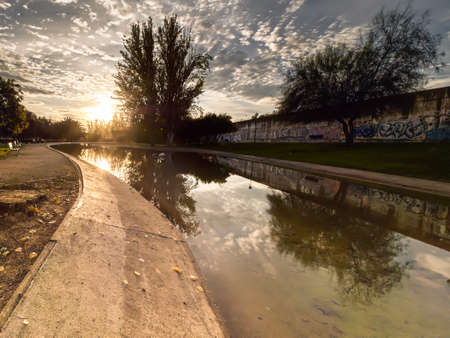 reflection sun sunset park tree reflection sunの写真素材
