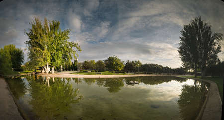 reflection sun sunset park tree reflection sunの写真素材