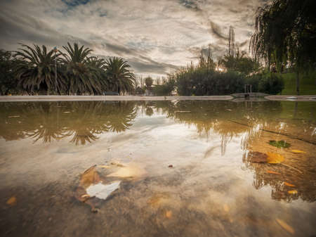 reflection sun sunset park tree reflection sunの写真素材